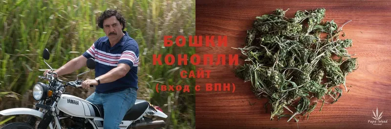 Бошки Шишки Ganja  продажа наркотиков  Кимовск 